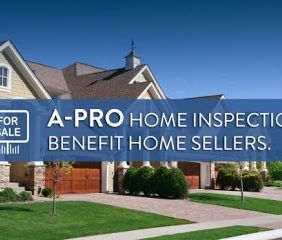 A-Pro Home Inspectio...