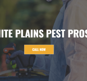 White Plains Pest Pros
