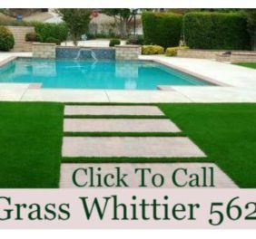 Artificial Grass Whi...