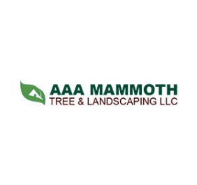 AAA Mammoth Tree &am...